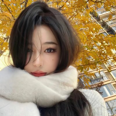 群鸟东径